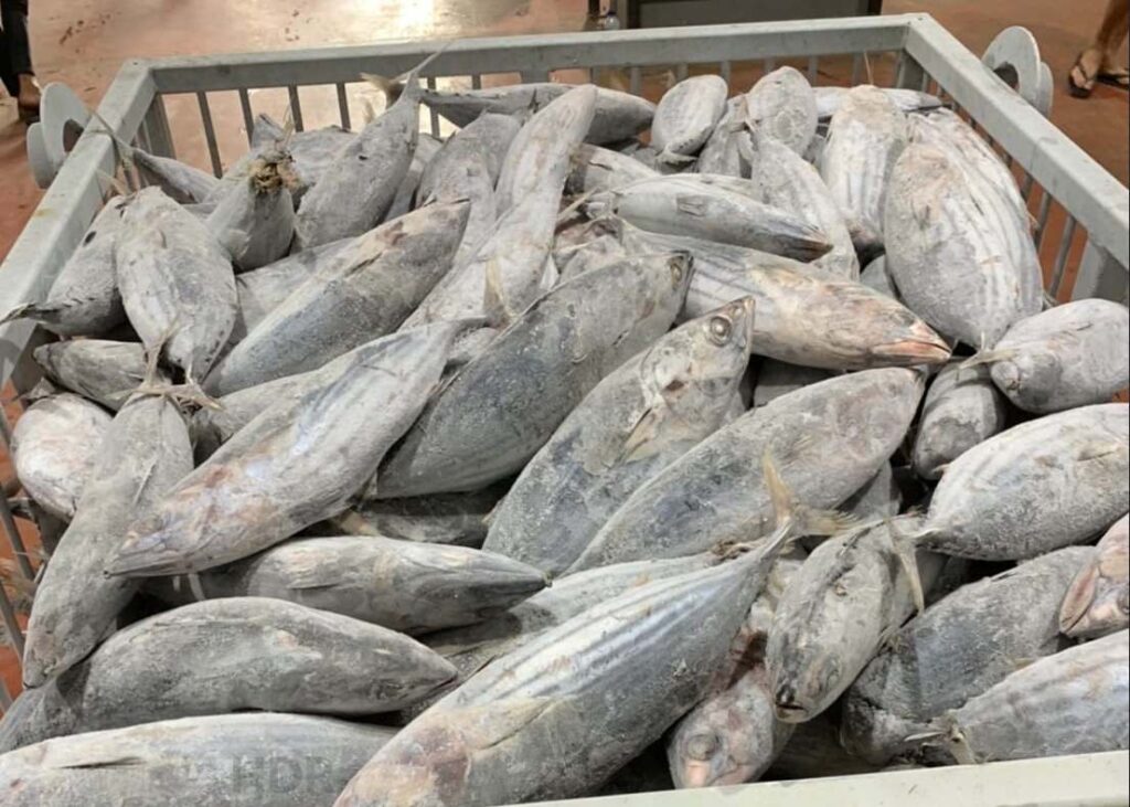PT. Katsuo Indo Marine
