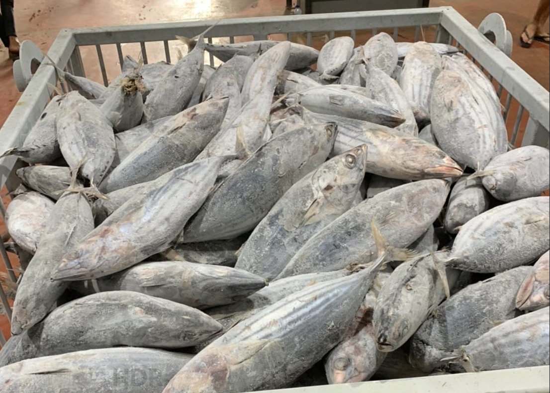 PT. Katsuo Indo Marine
